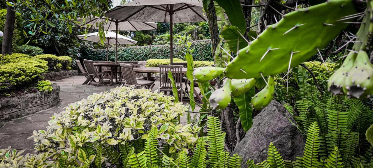 Margarita House Hotel Nairobi Ngoại thất bức ảnh